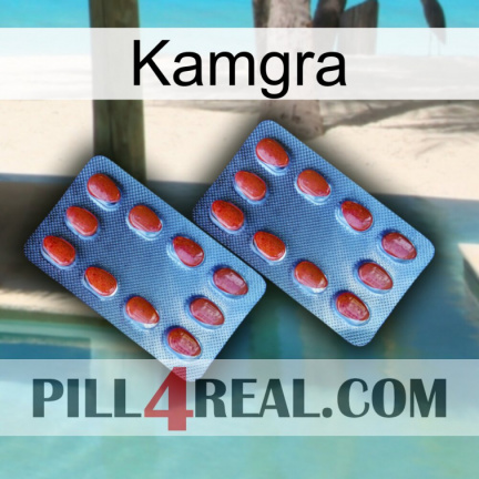 Kamgra 05